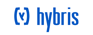 hybris-natural-language-search