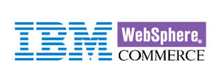 IBM Websphere natural language search